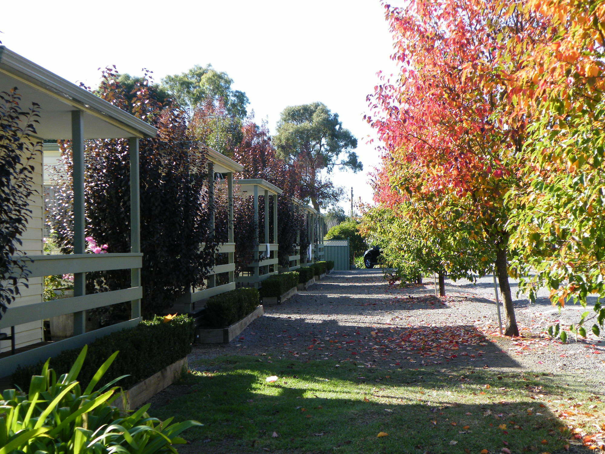 Lake Hamilton Motor Village And Caravan Park ภายนอก รูปภาพ