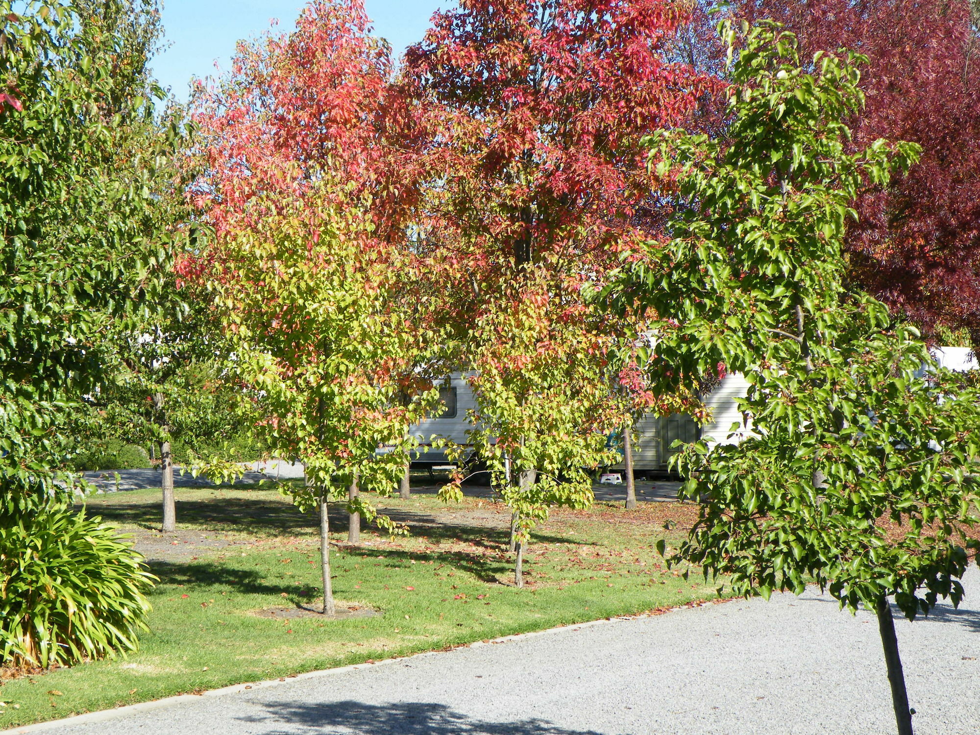 Lake Hamilton Motor Village And Caravan Park ภายนอก รูปภาพ